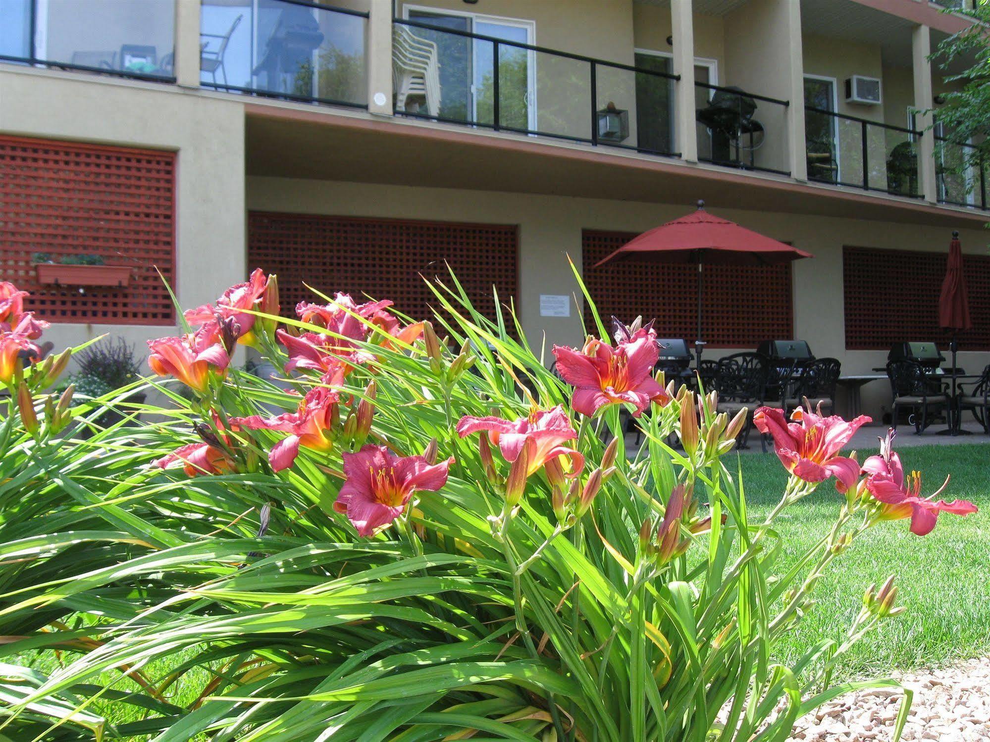 Desert Surfside Waterfront Accommodations Osoyoos Eksteriør billede